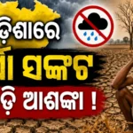 Monsoon Arrives in Odisha, But Lack of Rain Puts Kharif Farming at Risk.