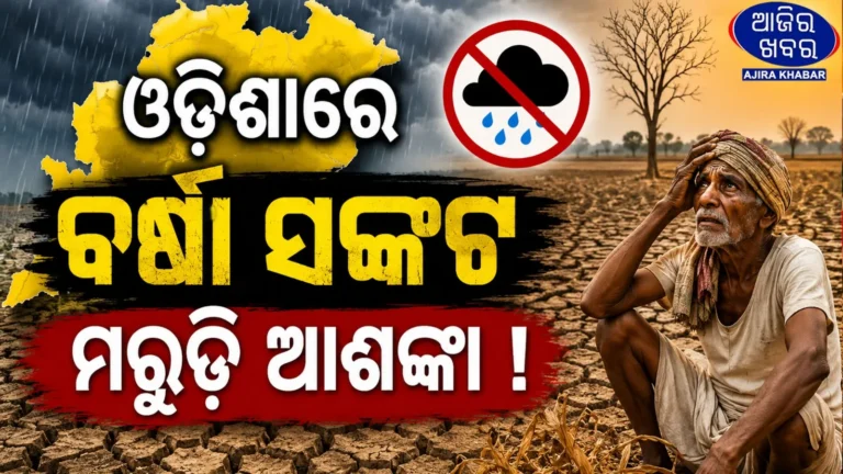 Monsoon Arrives in Odisha, But Lack of Rain Puts Kharif Farming at Risk.