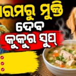 North Korea Promotes Traditional Dog Meat Soup as Heatwave Remedy